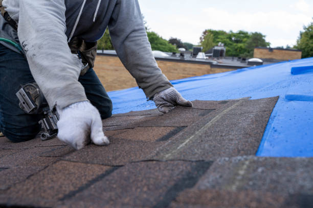 Best New Roof Installation  in Fremont, OH